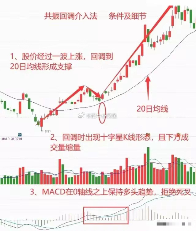 散户线揭秘，手机炒股软件中的隐形财富密码