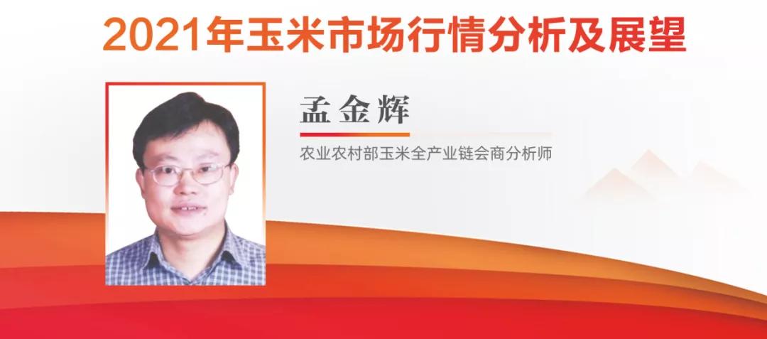 申华控股股票，历史、现状与未来展望