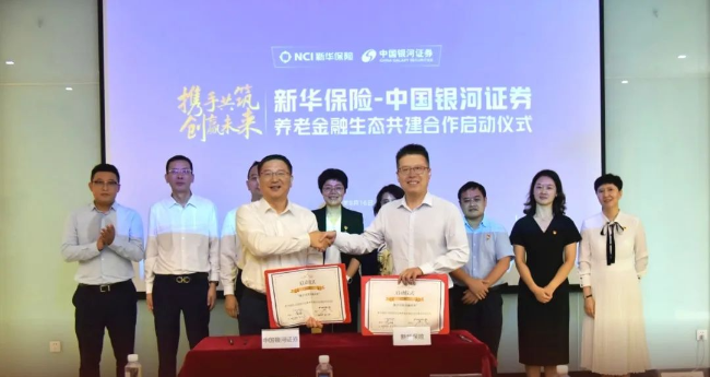 探索新华股份，从传统到创新的转型之路