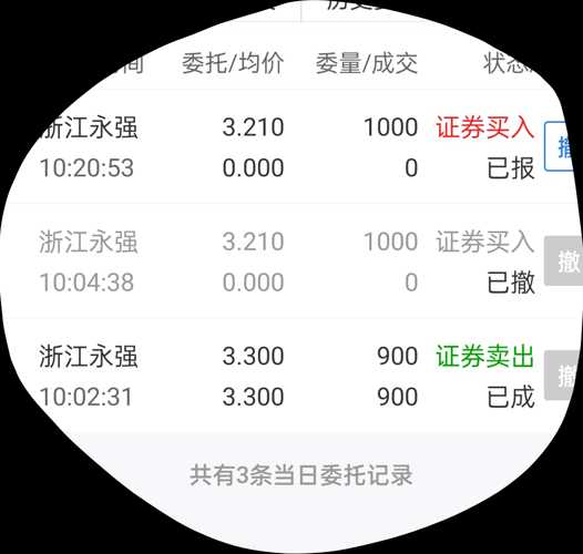 浙江永强股票股吧，风雨兼程的成长之路与未来展望