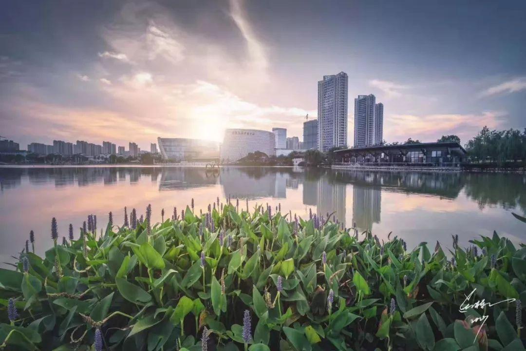 四大股票市场，全球资本的交汇点