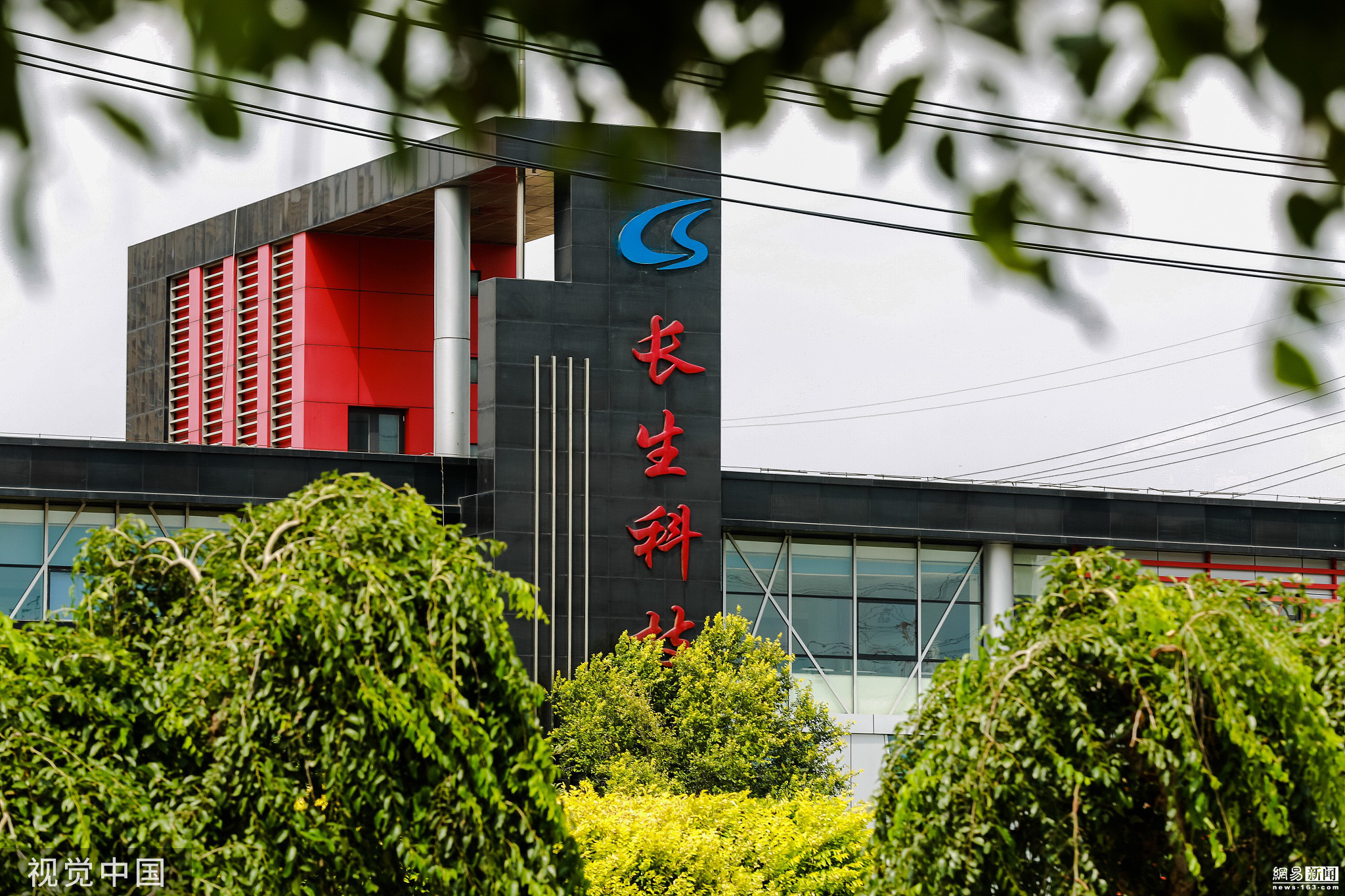 警惕长春长生事件，疫苗安全与股市波动的双重警钟