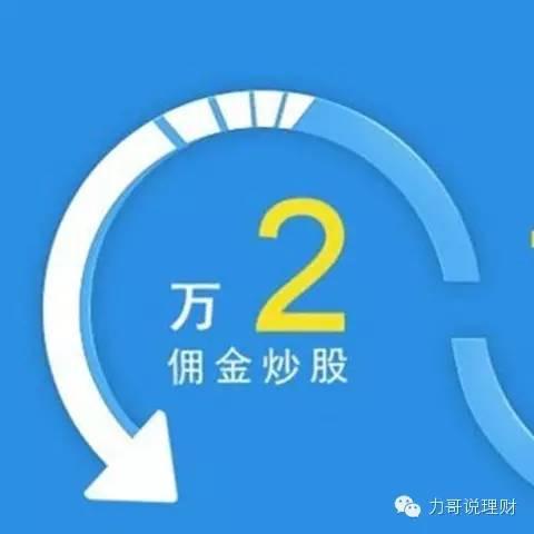 股票开户哪家强？全面解析与选择指南