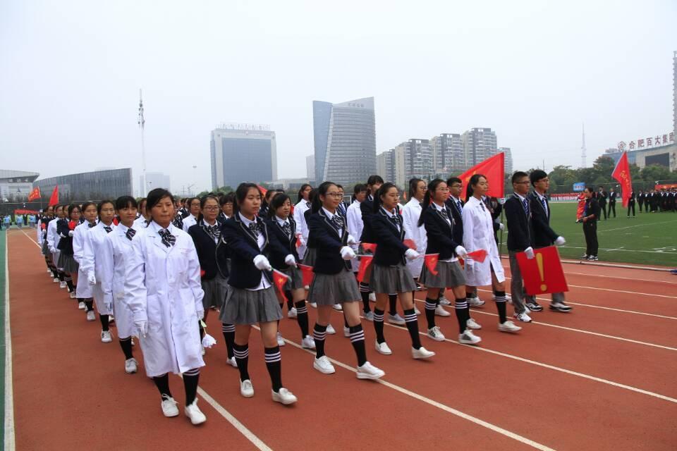 股票模拟实训报告，探索市场风云，提升投资智慧