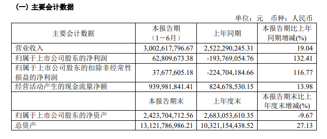 上半年净利润实现扭亏为盈，企业转型与战略调整的成功实践