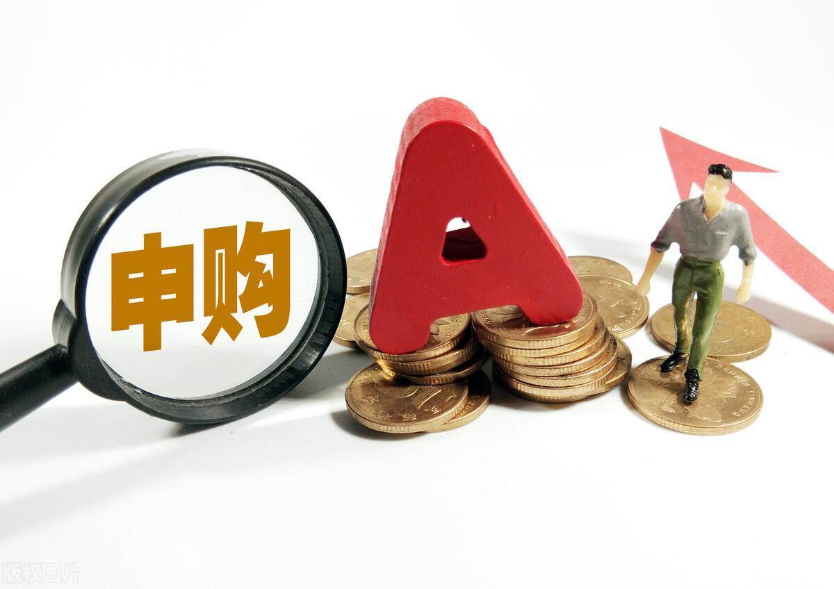 老王炒股软件，下载指南与使用体验深度剖析