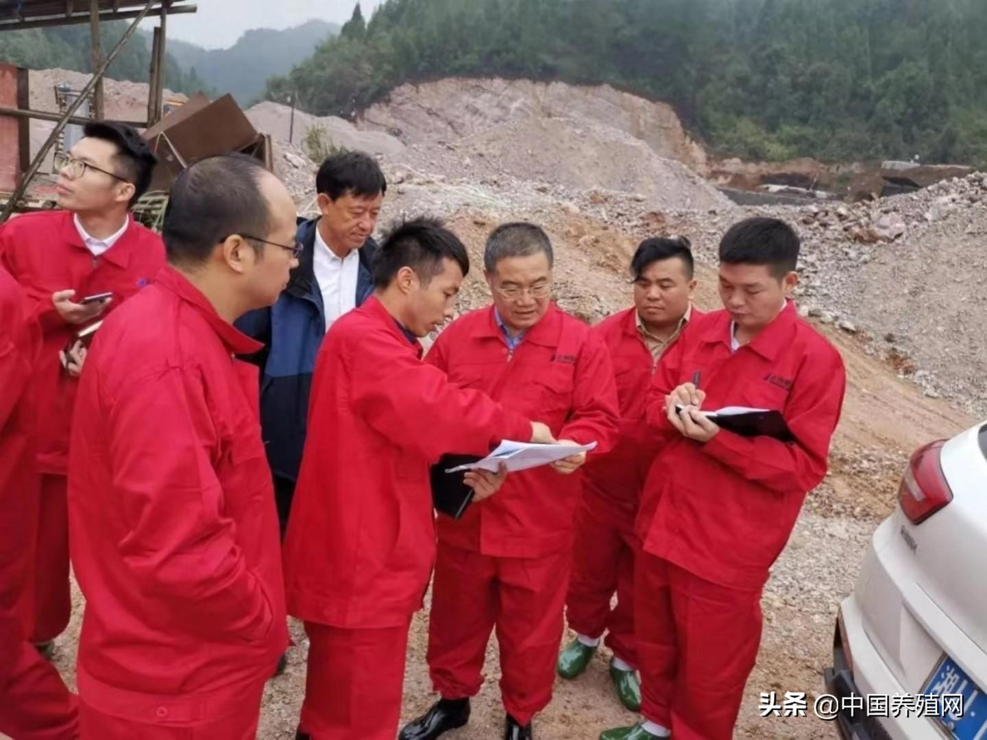 正邦科技股票行情预测分析