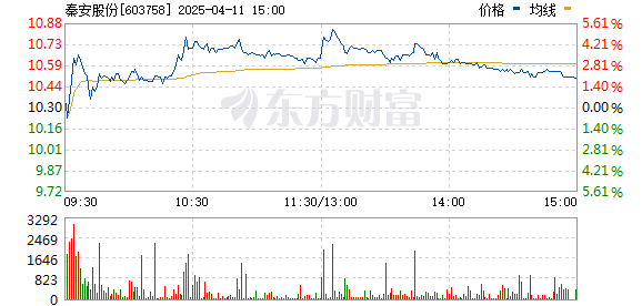 秦安股份股票，潜力与挑战并存的行业先锋
