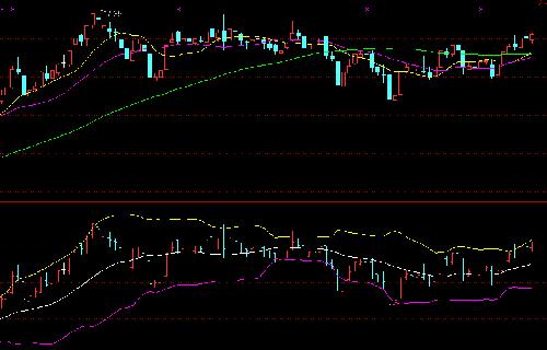 300595股票行情深度解析，从技术面到基本面，洞悉未来走势
