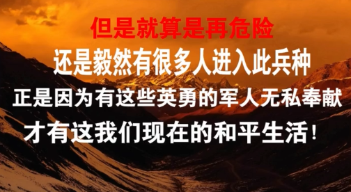 龙虎榜股票深度解读，揭示其背后的意义与影响