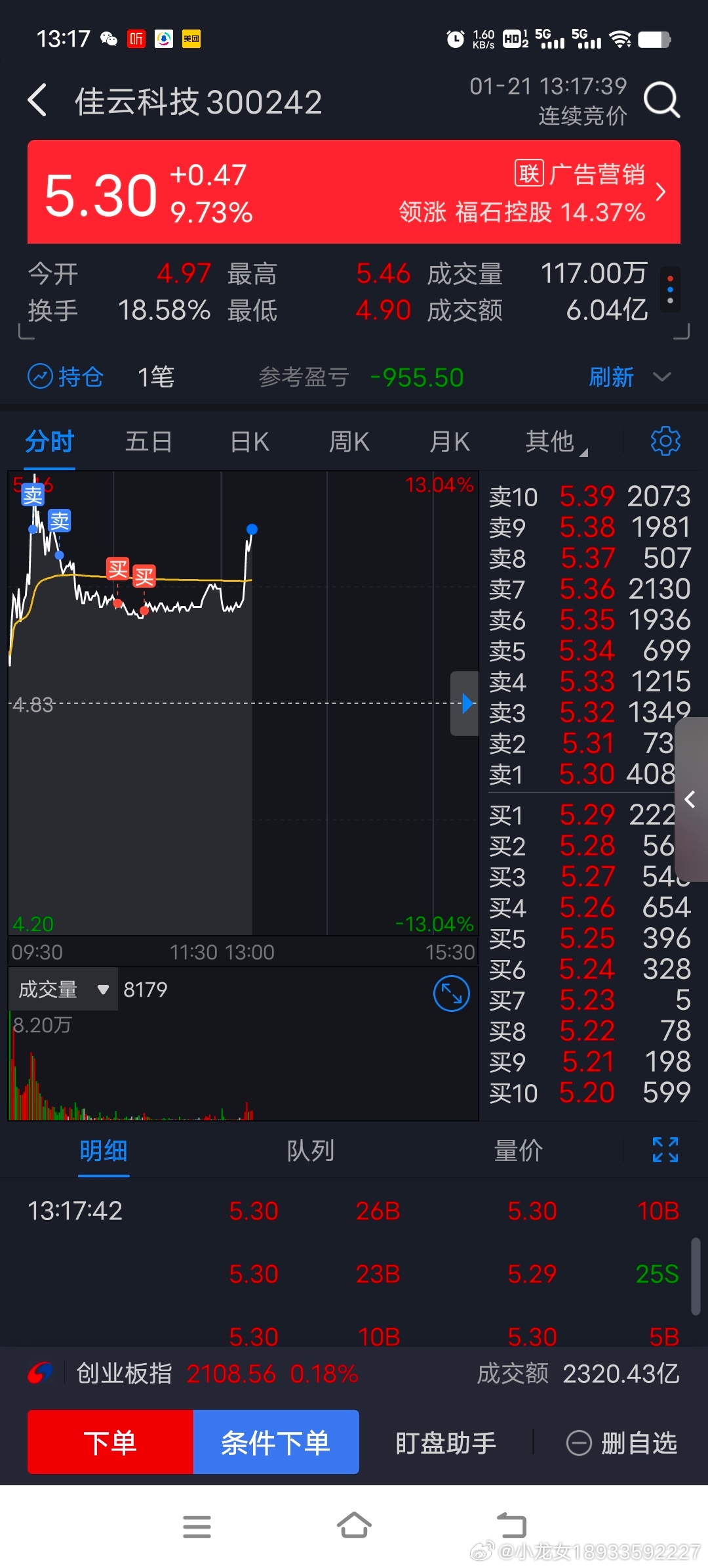 600238股票，行业龙头的崛起与挑战