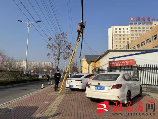 探索新蔡县公共资源交易中心的数字化转型之路