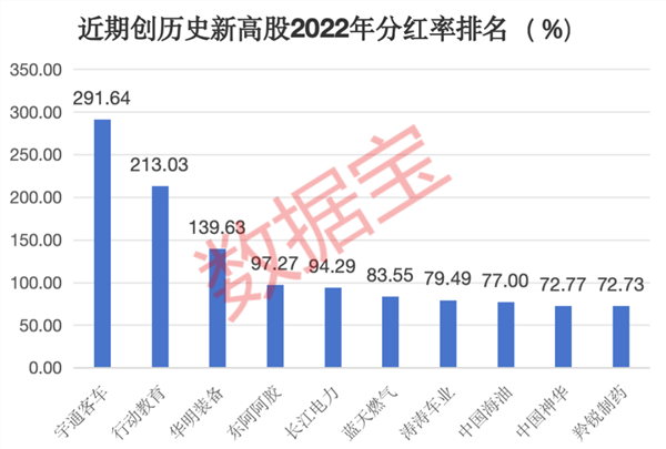 2023年，优质股的璀璨之年