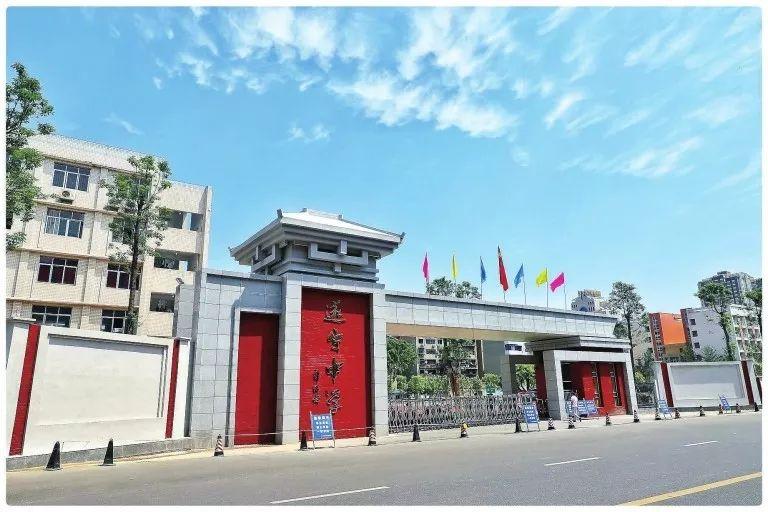 跟着激进投资者一起炒股，风险、机遇与策略的深度剖析