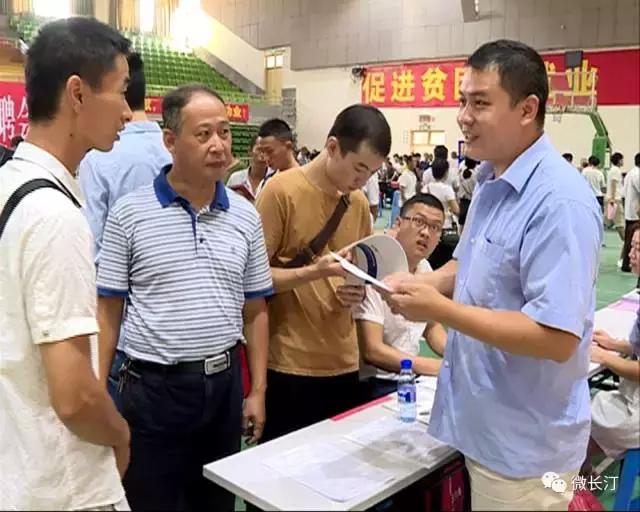 股票尾盘买入技巧，把握市场脉搏，精准入场