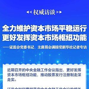依法从严打击证券违法活动，维护资本市场健康发展
