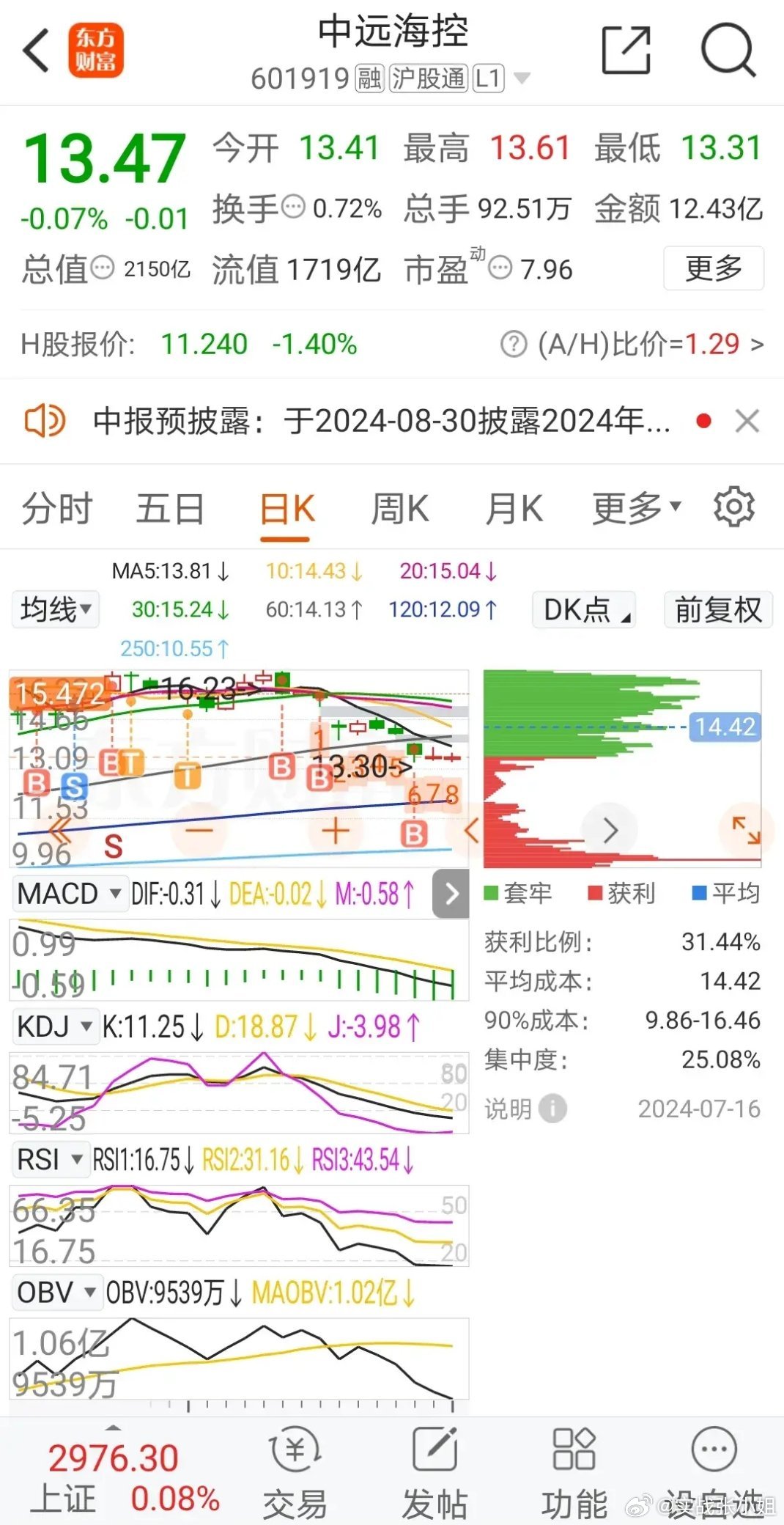 探索海狗股票，潜藏的机遇与挑战