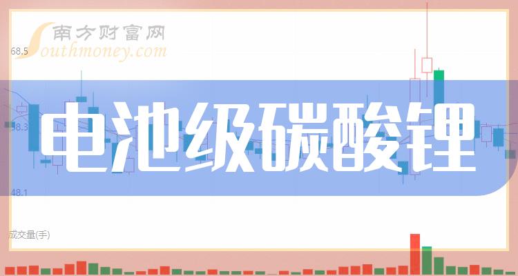 终止投资建设第二期年产2.4万吨电池级单水氢氧化锂项目的深远考量与未来展望