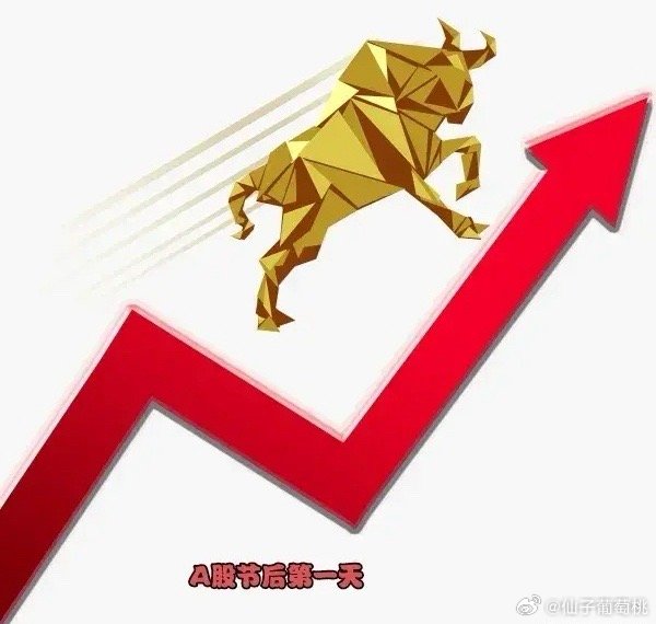 股票全部涨停，市场狂热与投资者的狂欢
