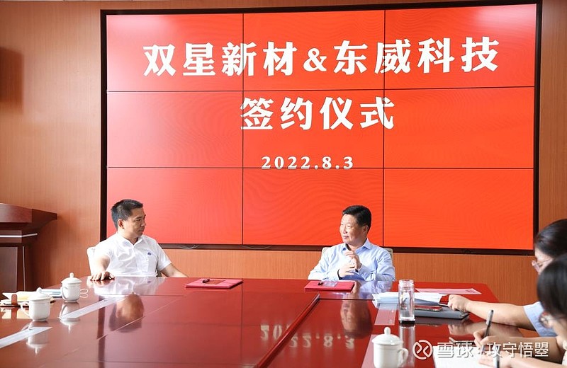 探秘双星新材，股市风云中的创新与挑战