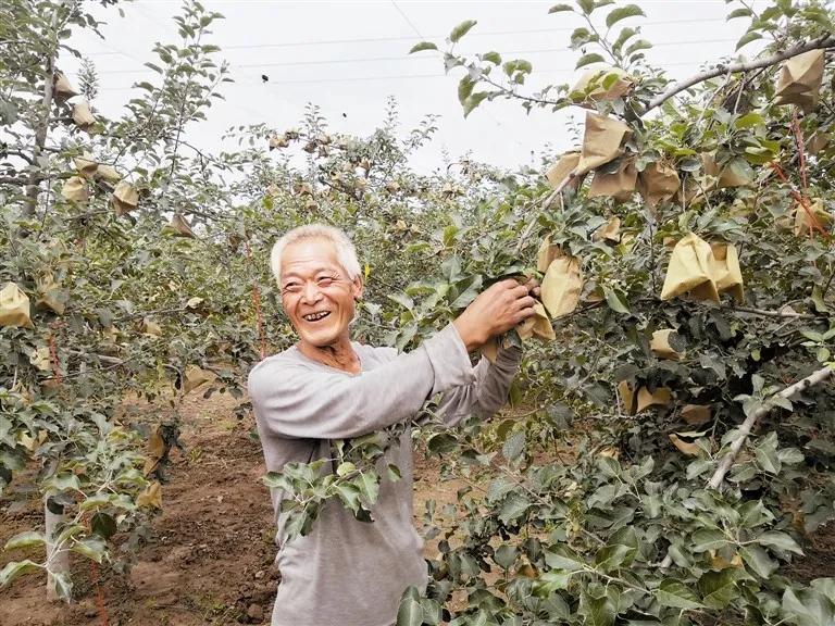 天津某企业内部股票分红公告深度解读