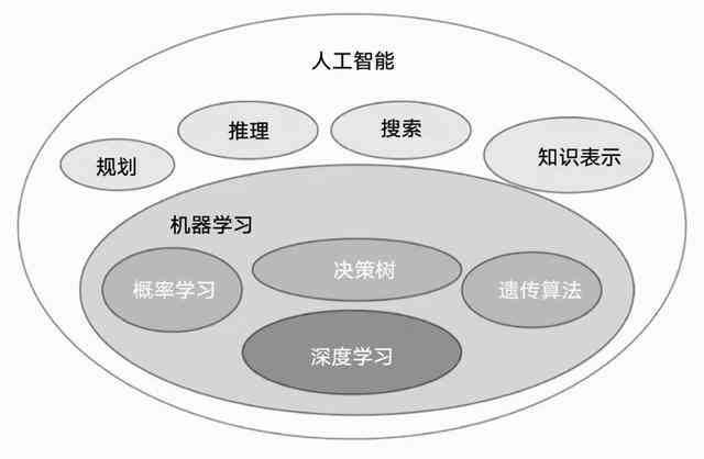 厦门自贸区概念股，潜力与机遇的深度剖析