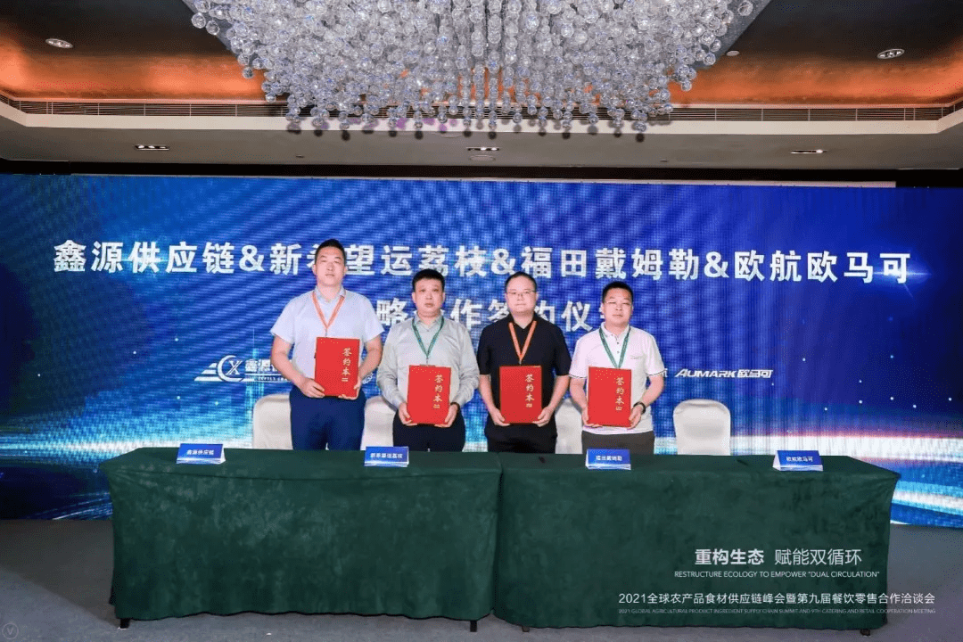 科技股概览，揭秘那些引领未来的投资之星