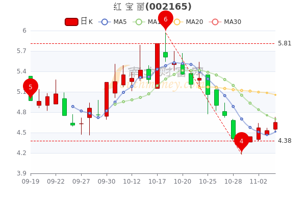 股票红宝丽，新材料领域的创新先锋与投资价值分析