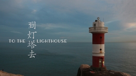 股票书籍排行榜，探索投资世界的指南灯塔