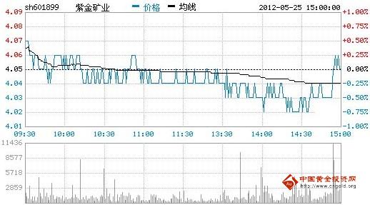 紫金矿业股票，投资价值与风险评估