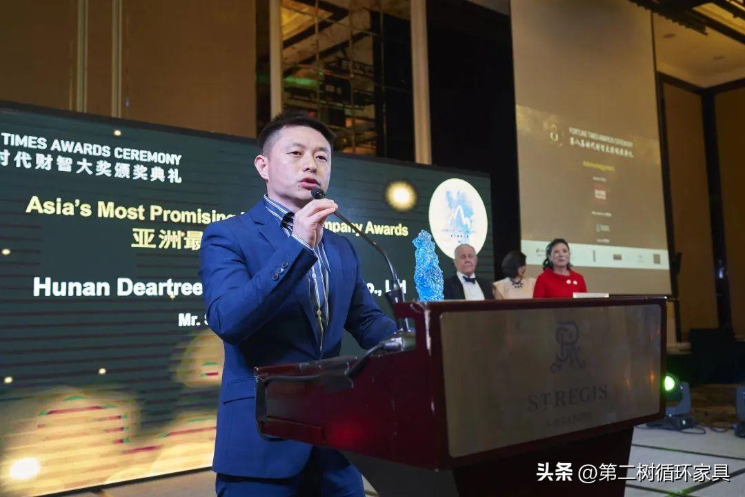 德尔玛股票，市场潜力与投资策略