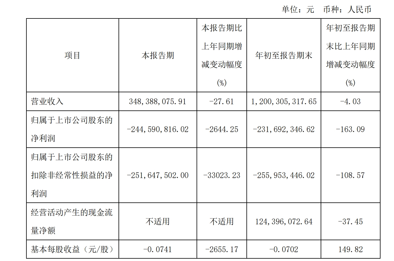 2024年半年度财报揭晓，企业面临挑战，净利润亏损约-1.04亿元