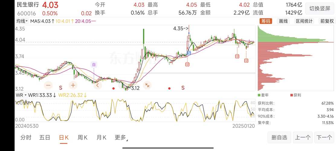 民生银行股价，波动背后的市场逻辑与未来展望
