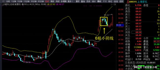 300595股票行情深度解析，从技术面到基本面，洞悉未来走势