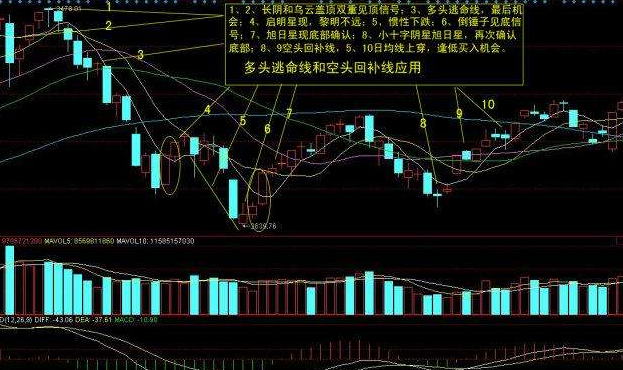 股票市场中的多头与空头，理解市场情绪的两大阵营