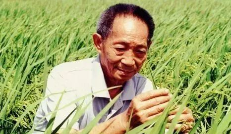 禾丰牧业，股票背后的农业巨擘