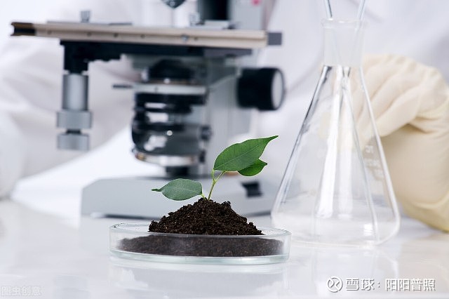 生物谷股票，探索生命科学的投资潜力