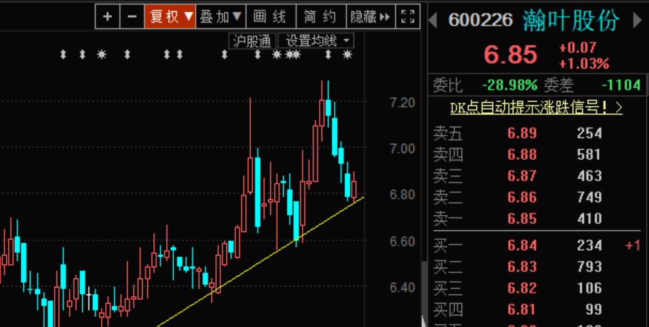 瀚叶股份股票，一场资本市场的深度剖析