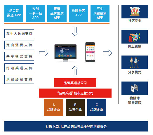 推动产品向中高端领域迈进，深化扩品类业务发展的战略路径