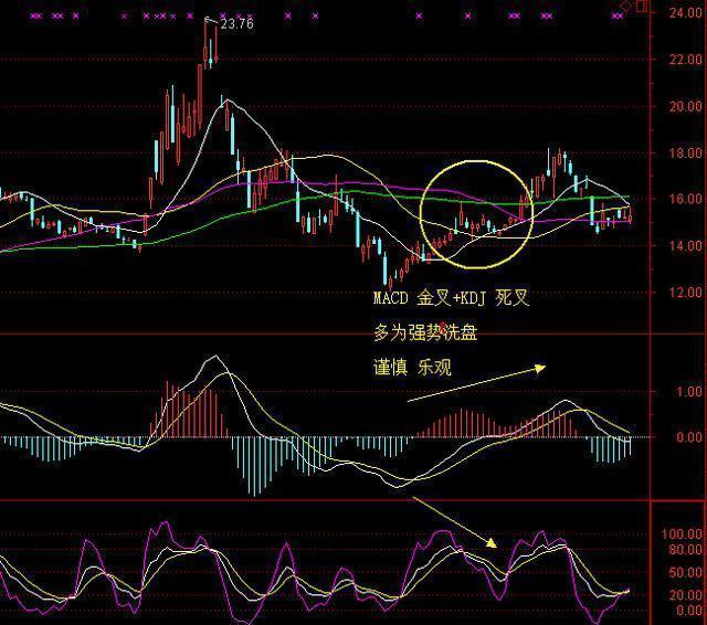 立德引领未来，深度解析手机炒股软件中的佼佼者
