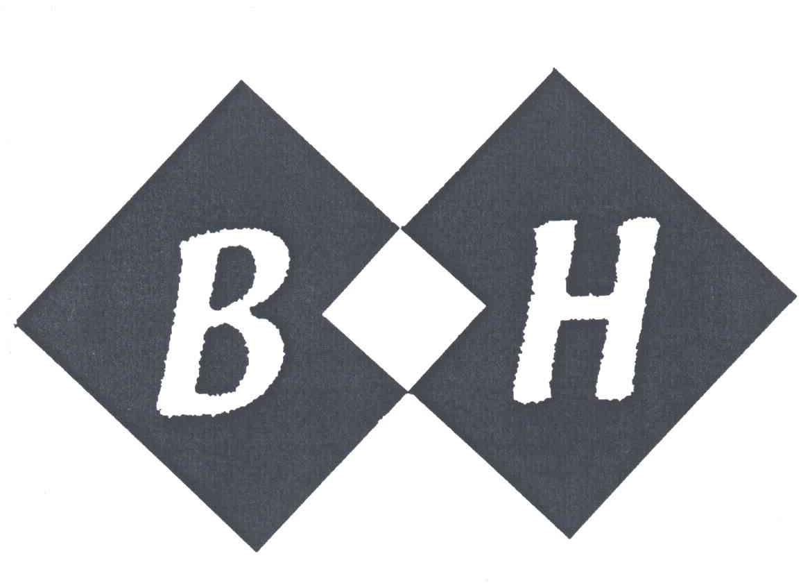 韩华集团（BH）股票，全球能源转型的先锋与挑战