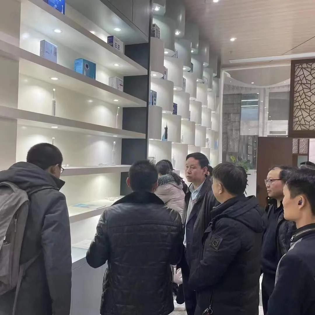 600459股票，中国电器的崛起与未来展望