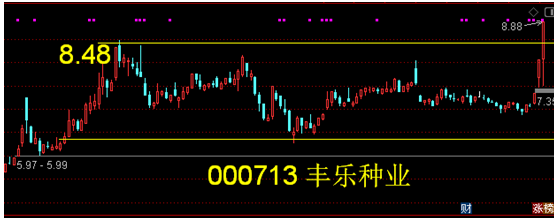 丰乐种业股票，000713背后的农业投资潜力与风险分析