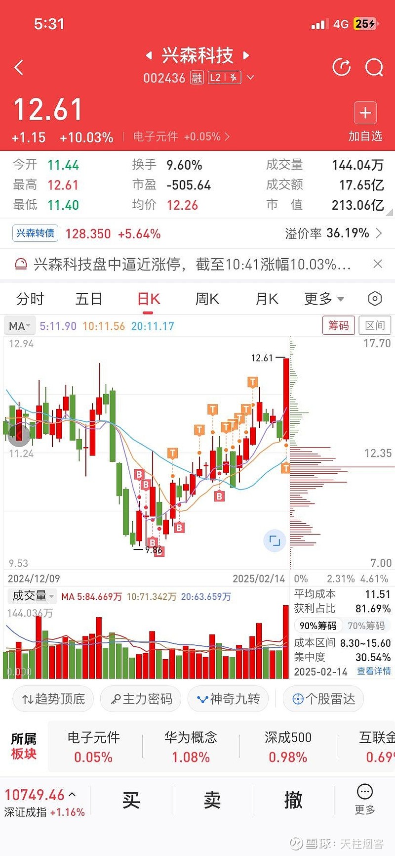兴森科技股票最新动态，技术创新与市场拓展双轮驱动下的增长潜力