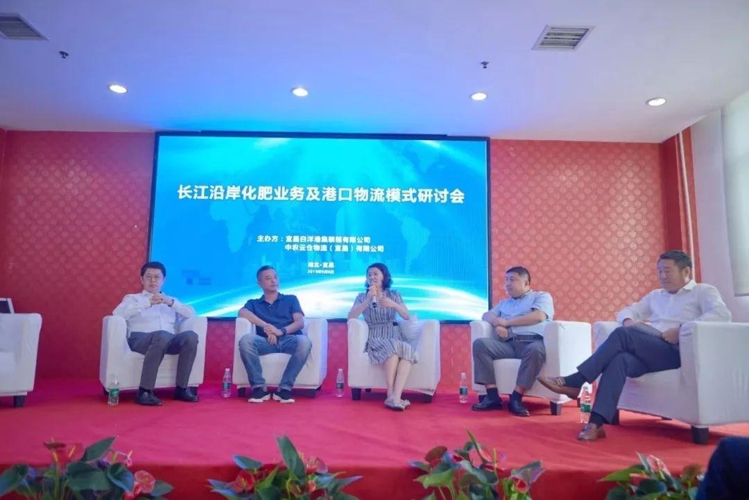 司尔特股票深度分析，市场动态、财务状况与未来展望