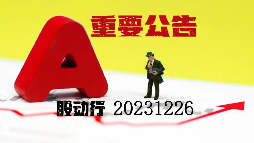 000615股票，从行业背景到投资价值深度剖析
