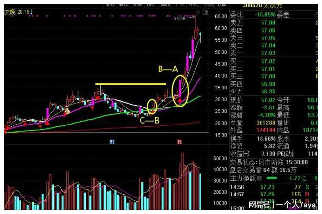 600988股票行情深度剖析，市场动态、技术分析与投资策略