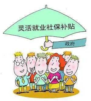 保险条款与生命尊严的微妙平衡，一场寻求和谐共生的探索