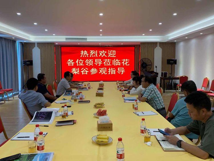 尖峰集团股票行情，波动背后的市场逻辑与未来展望