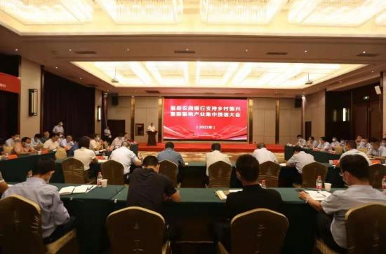 探索三农股票，乡村振兴的金融引擎